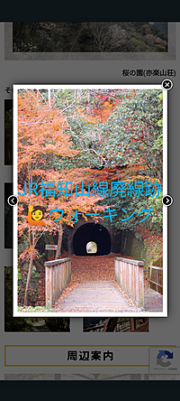 🍀福知山線廃線跡、ゆるゆるウォーキングで秋を感じる旅✨