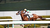 【初めて歓迎】競馬場に行ってみよう！