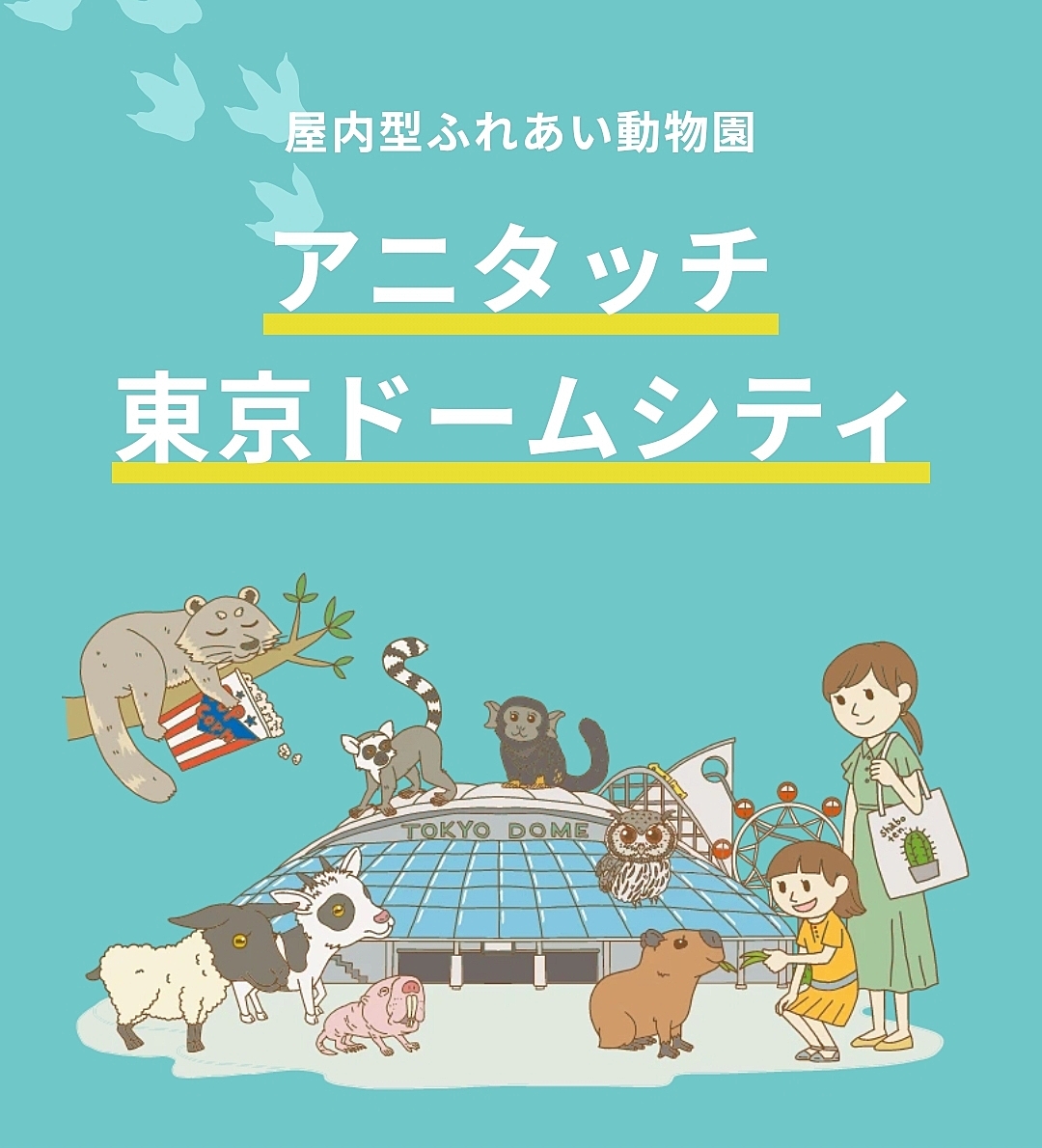 アニタッチ 東京ドームシティ店に行こう🐇