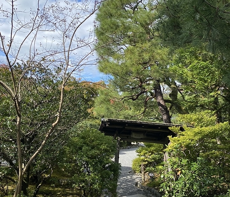 【20代・豪徳寺・少人数】招き猫で有名な「豪徳寺」と世田谷の商店街を歩いてみませんか？