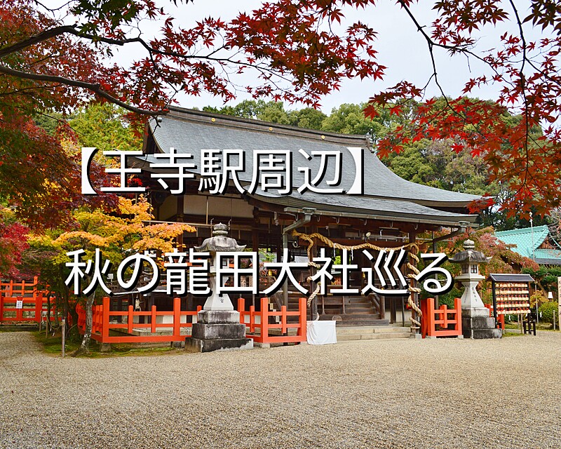 【王子駅周辺】紅葉の龍田大社と達磨寺を巡る