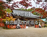 【王子駅周辺】紅葉の龍田大社と達磨寺を巡る＆祭りのミルキーウェイ
