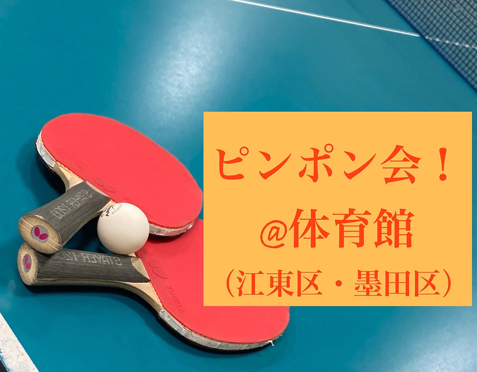 【🔰未経験OK・SP回】11/17夜 第58回！体育館でピンポンしましょ！🏓