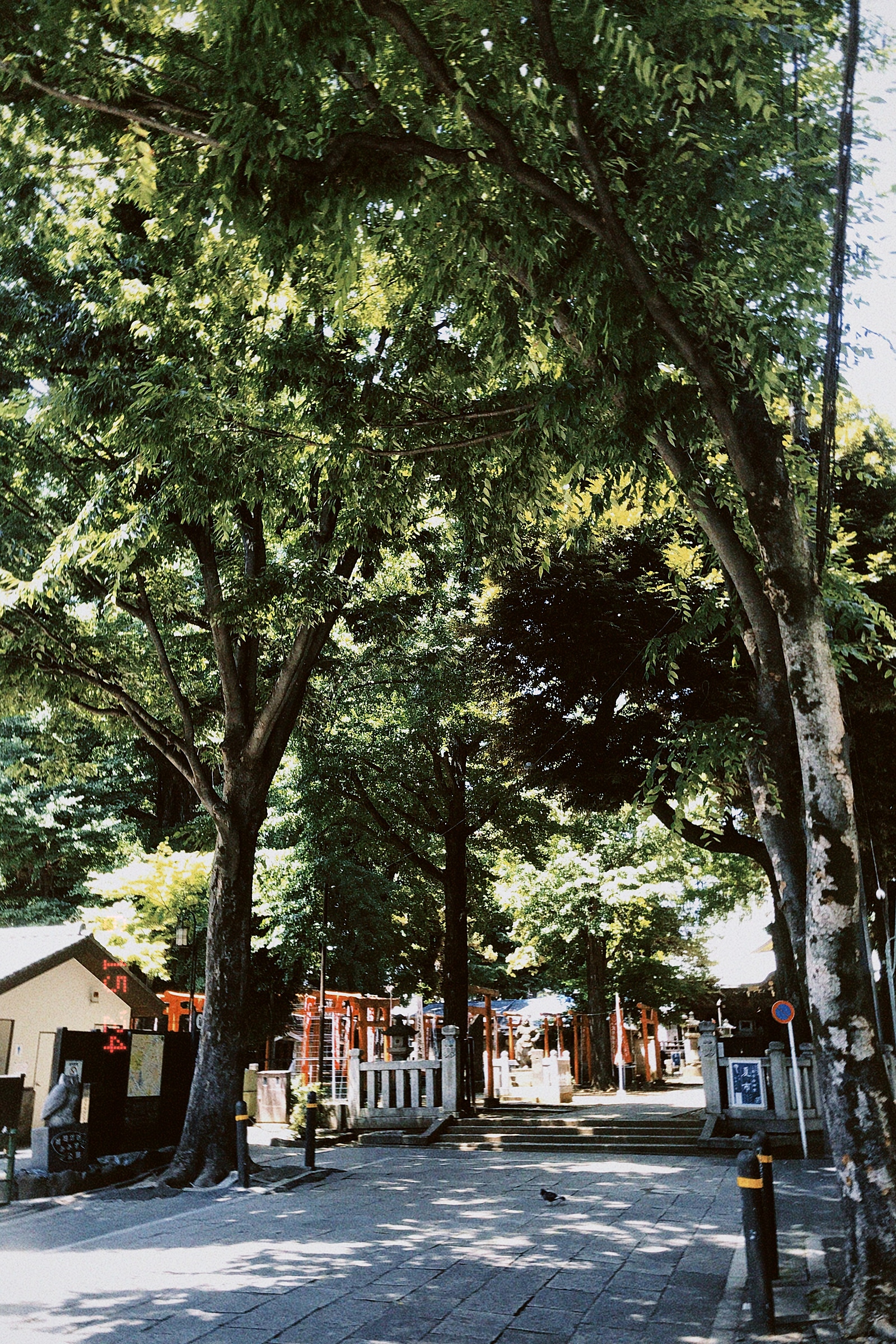 江戸川橋から神田川沿いを歩きましょう