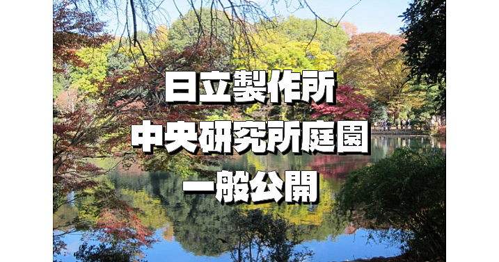 【この日限定公開】日立中央研究所庭園で武蔵野に残された数少ない自然を感じよう