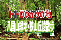 1/5 【トトロゆかりの地＃1】ハ国山緑地、狭山丘陵を散策してみよう〜
