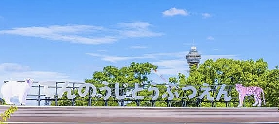 天王寺動物園🐼朝ご一緒してくださる方募集！