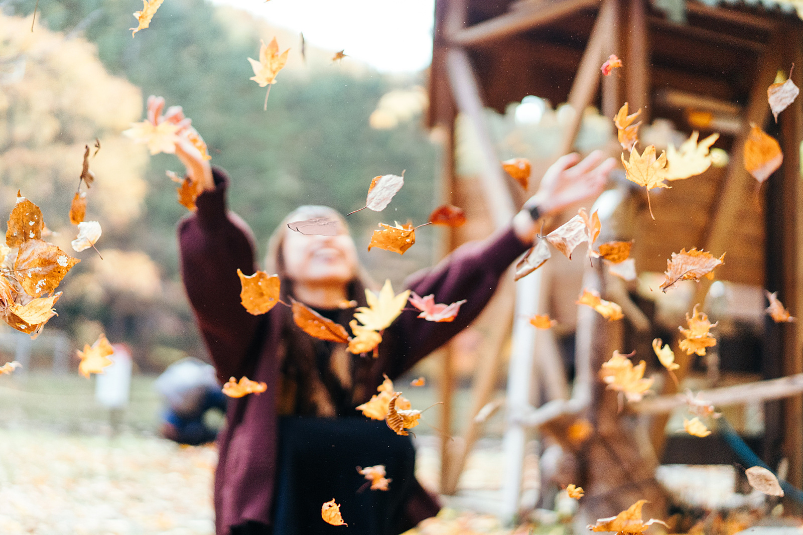 紅葉狩り🍁札幌中の紅葉を撮ろうスペシャル