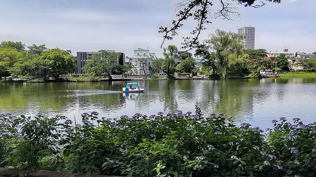 石神井公園でウォーキング＆写真撮影しよう！