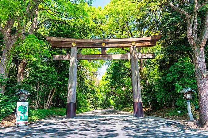 日本の伝統を知ろう『十五日参り⛩️』@明治神宮