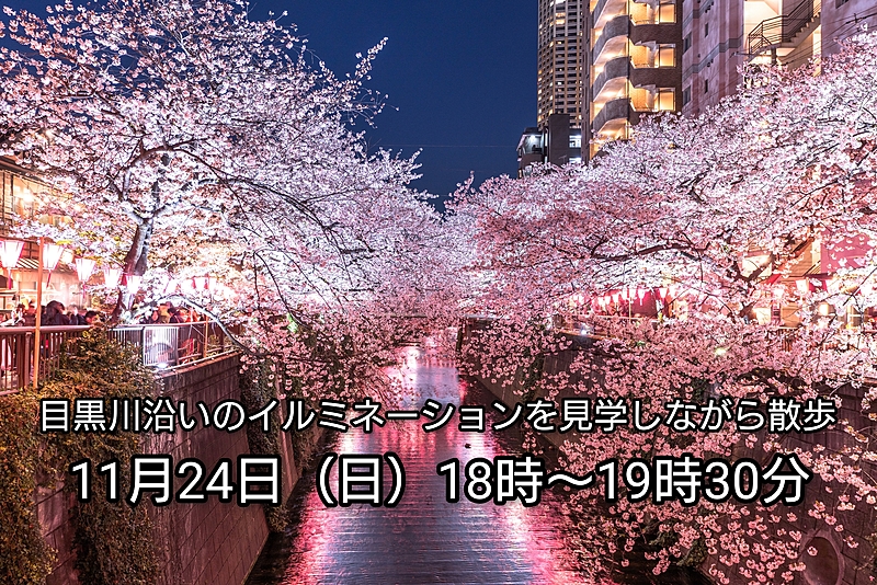 【30代中盤〜40代中心】目黒川沿いのイルミネーションを見学しながら散歩