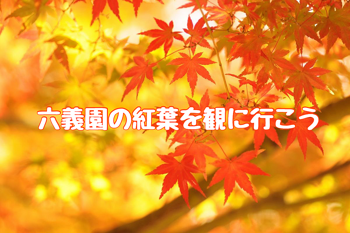 【女性主催🐶】🍁六義園の紅葉を観に行こう🚶‍♀️【駒込】