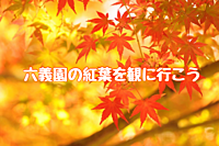 【キャンセル待ち】【女性主催🐶】🍁六義園の紅葉を観に行こう🚶‍♀️【駒込】