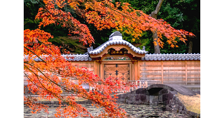 大名庭園が織りなす紅葉風景と庭園ガイドツアーで庭園散策を楽しもう！国の特別史跡かつ特別名勝です！