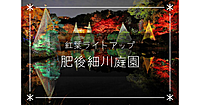 超きれい🍁この時期限定でライトアップされた肥後細川庭園にいこう！