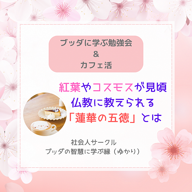 ★11/16(土)@福岡 勉強会&カフェ活 紅葉やコスモスが見頃、仏教に教えられる「蓮華の五徳」とは