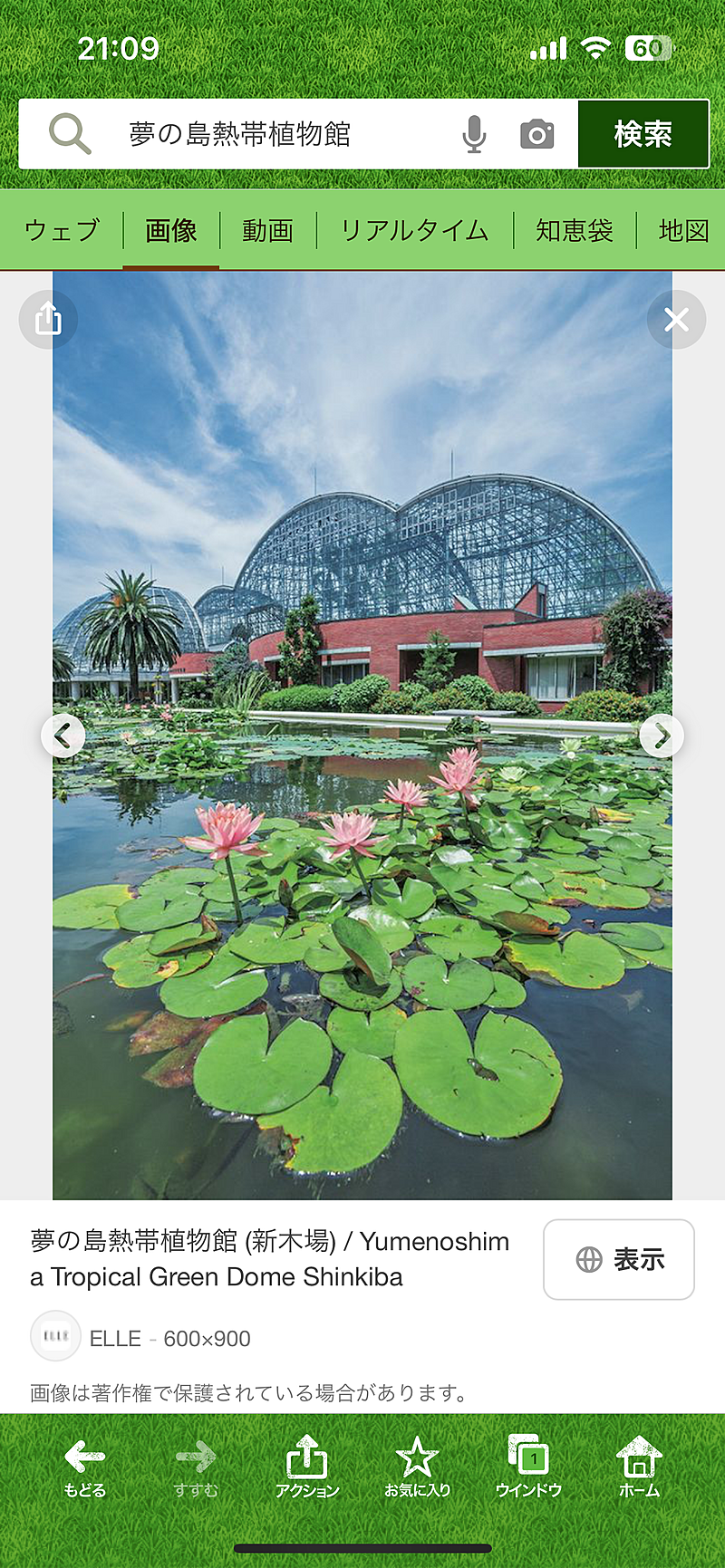 【夢の島植物園】自然と癒しの楽園で心をリフレッシュ🌿✨