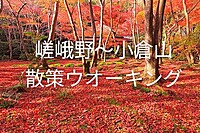 【紅葉の嵯峨野散策🍁】深まる秋の美しさを満喫する特別な一日