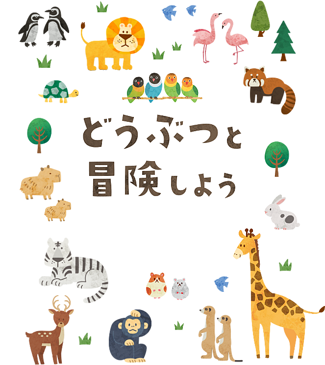 【11/16】朝から天王寺動物園☀️散歩