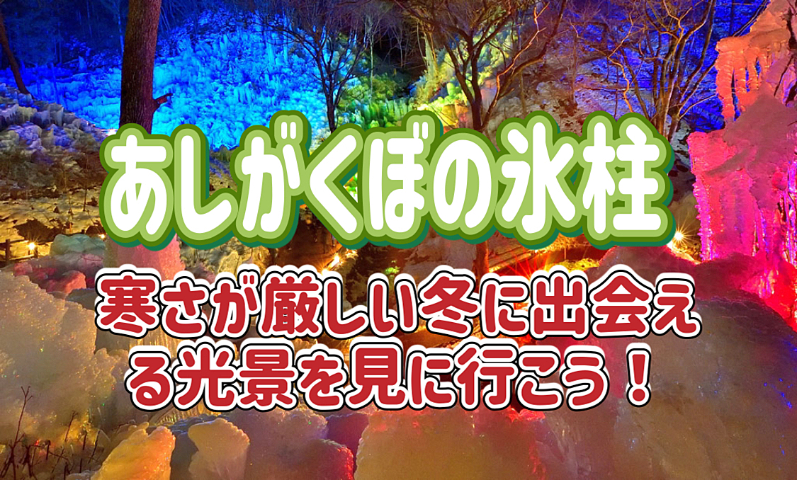 1/18 【夜編：ライトアップ】あしがくぼの氷柱＆秩父観光！寒さが厳しい冬に出会える氷の光景！