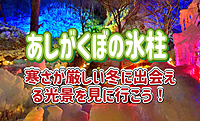 1/18 【夜編：ライトアップ】あしがくぼの氷柱＆秩父観光！寒さが厳しい冬に出会える氷の光景！