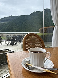 【HSP・オンライン】ゆる雑談会♪