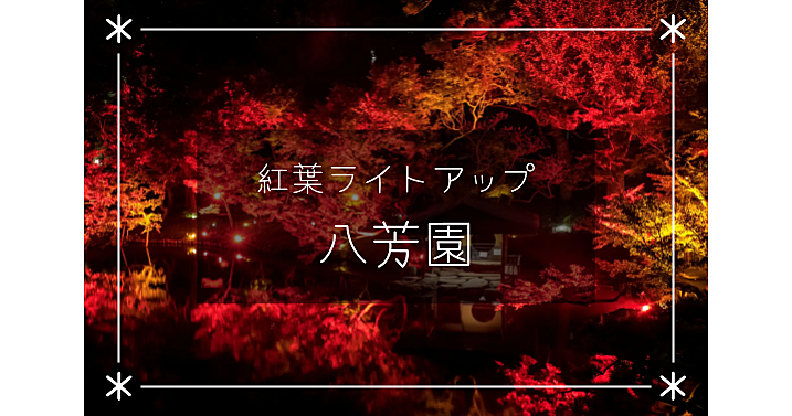 ＜RED GARDEN＞赤でライトアップされた幻想的な八芳園の庭園。紅葉がなくても楽しめます😀