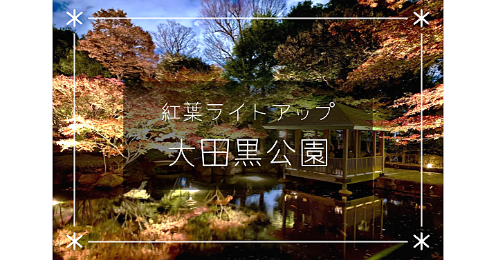 🍁期間限定の夜の公開🍁ライトアップされた大田黒公園のお庭を楽しもう！