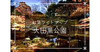 🍁期間限定の夜の公開🍁ライトアップされた大田黒公園のお庭を楽しもう！
