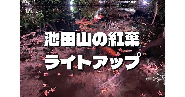 都内有数の高級住宅地である池田山の紅葉ライトアップを楽しもう🍁大富豪の豪邸も紹介します