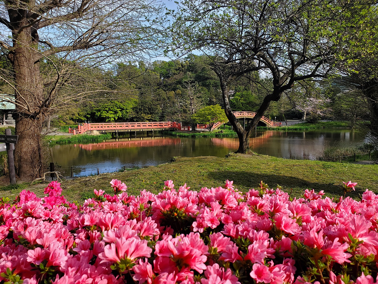 **「紅葉とアートを巡る贅沢な朝散歩」**   ～澄み切った朝の空気と心癒す景色を満喫～