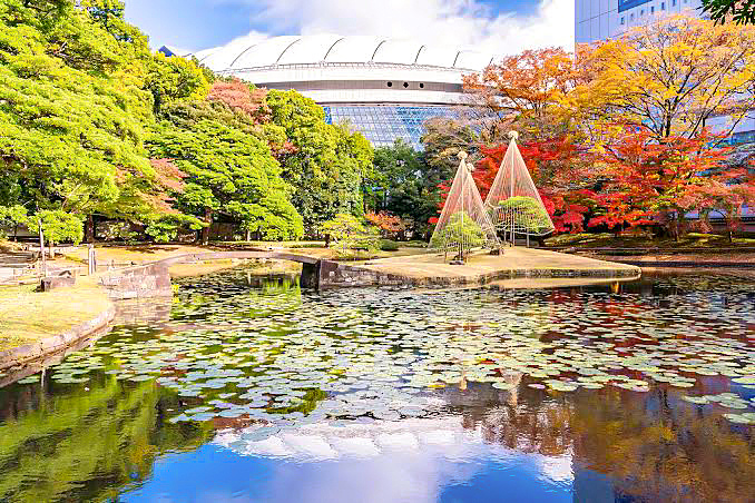 〈少人数〉【小石川後楽園】水戸黄門ゆかりの名園に行こう🍂🍁