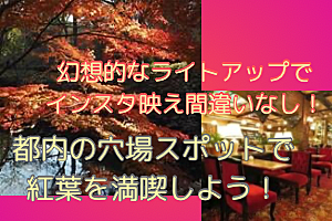 20〜30代前半限定！紅葉ライトアップを見に行こう！