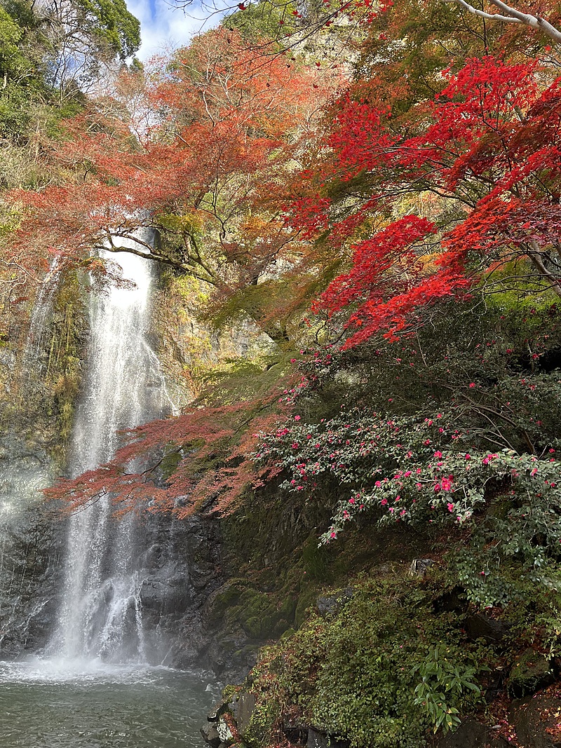 【紅葉×箕面の滝】秋の自然を満喫するハイキングイベント🍁✨