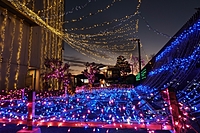 【20代主催】クリスマス🎄松田きらきら✨フェスタと大山⛩️年末詣