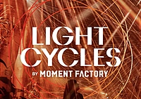 12/1✨秋の京都植物園ライトアップに行こう🍁〜LightCycles🌕✨