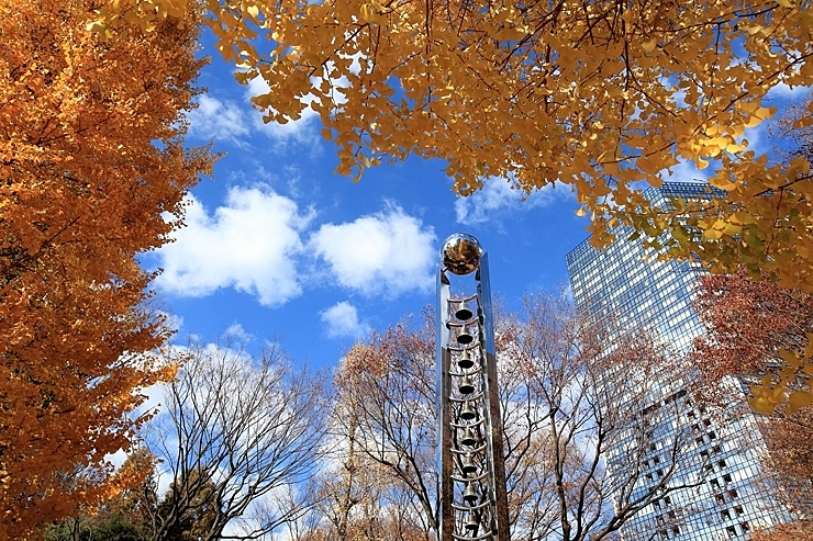 スタバを片手におさんぽ🐈🐾新宿中央公園の紅葉を見に行こう🍁