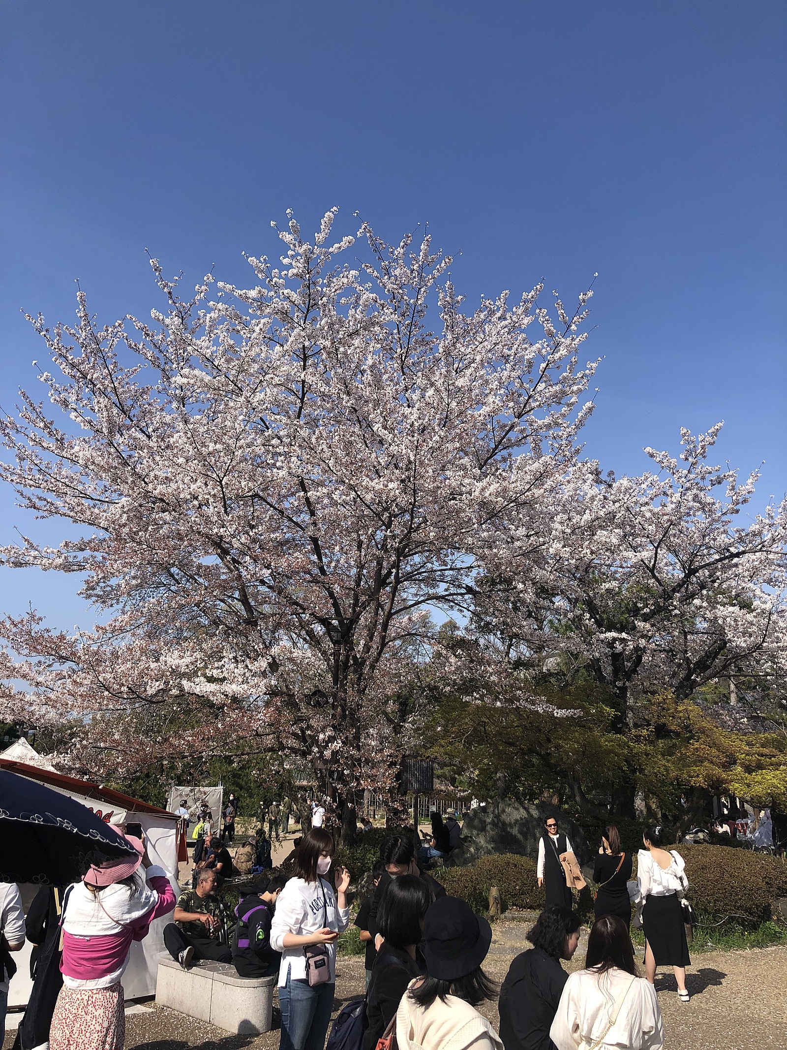 着物で祇園の街散策と和文化語り交流会