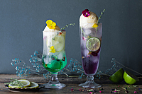 【女性2名主催/早割中】ドライフラワー💐💐✨に囲まれた癒し空間に行こう〜🍹🍹 20代30代限定