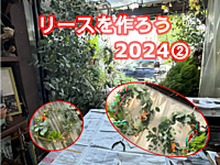 リースを作ろう2024② 　本物の植物で作るオーナメントで季節の変化を楽しもう　