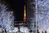 【tokyoミッドタウンとヒルズのイルミネーションツアー✨】