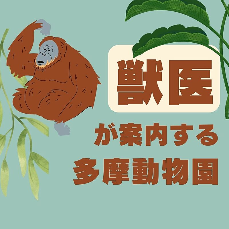 獣医が解説🦁多摩動物公園を歩く会