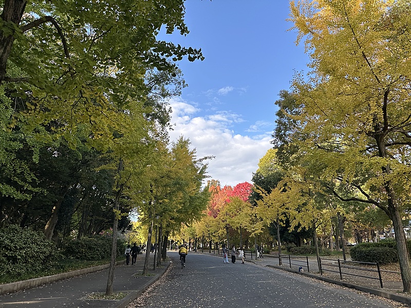 秋の散歩🍂フォトウォークin大阪城公園