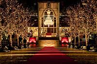 【早割中】イルミネーションを見に行こう⭐⭐20代30代限定😺😺