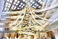 【女性2名主催/早割中】東京駅のイルミネーション巡り🎅🏻🎄🎡をしよう⛄️📸💫クリスマスを満喫できます！！