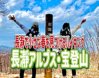 2/2  【初心者歓迎】冬は低山！長瀞アルプス・宝登山で小さな春を見つけよう～