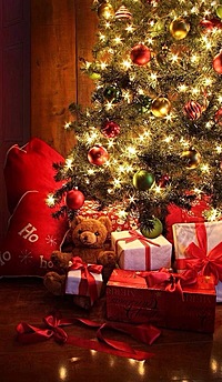 12/21(土)19時〜 クリスマス＆忘年会‼️(仮装 大歓迎🎄🎁🎅)