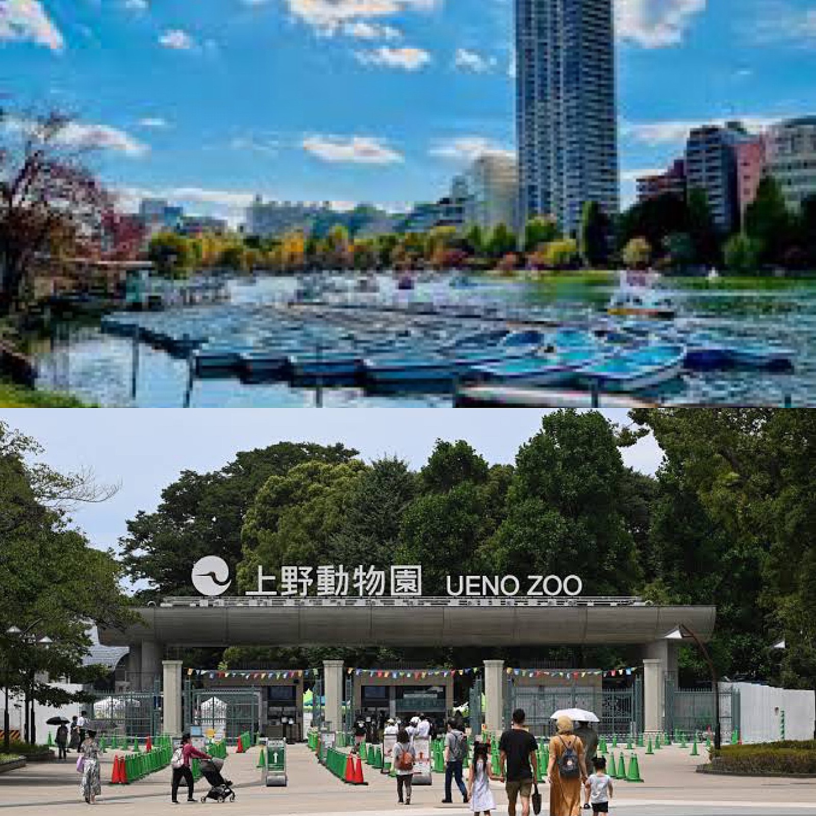 上野公園、上野動物園に行こう！(東京都)