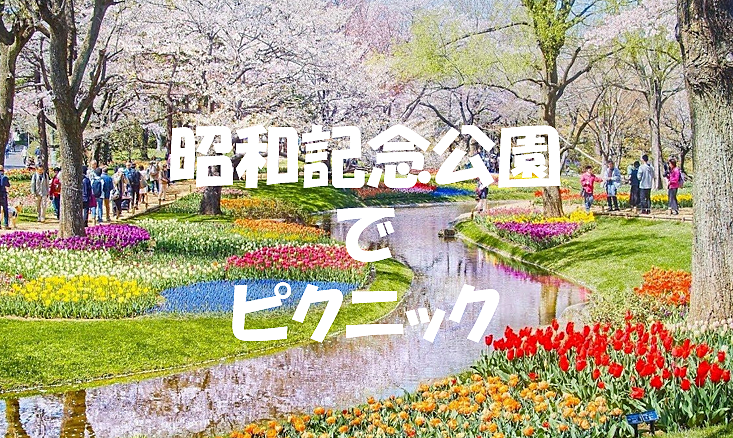 昭和記念公園で春の景色を楽しみながらピクニックをしょう♪