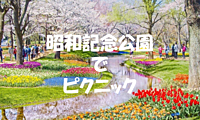 昭和記念公園で春の景色を楽しみながらピクニックをしょう♪